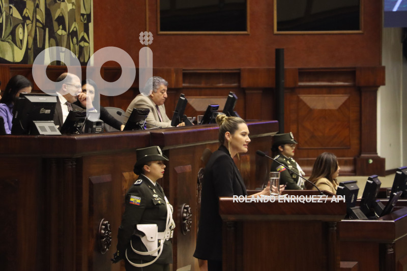 PLENO-MINISTRA-AMBIENTE-SADE-FRITSCHI