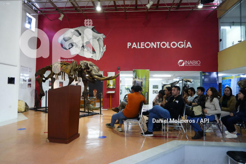 INABIO PRESNTA DOCUMENTO NUEVA ESPECIE