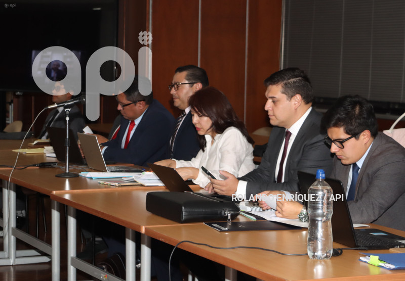CASO-PURGA--NUEVOS-VINCULADOS