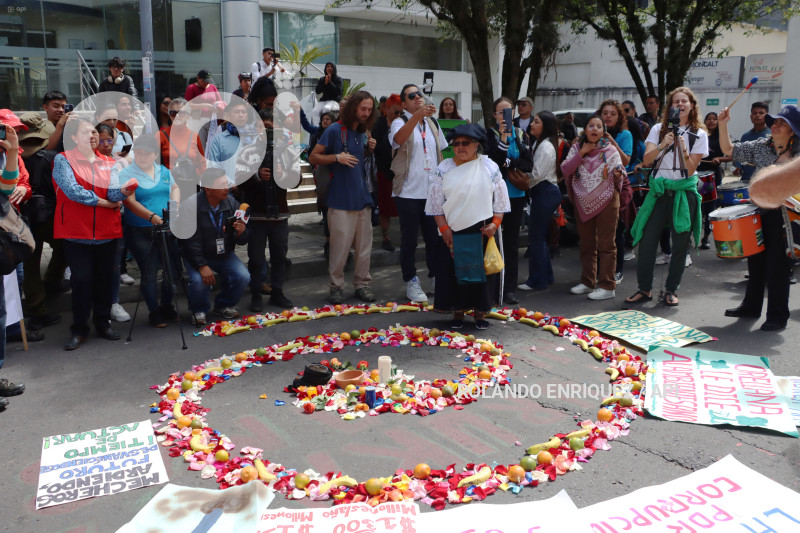 PLANTON-APAGUEN-MECHEROS-CORTE-CONSTITUCIONAL