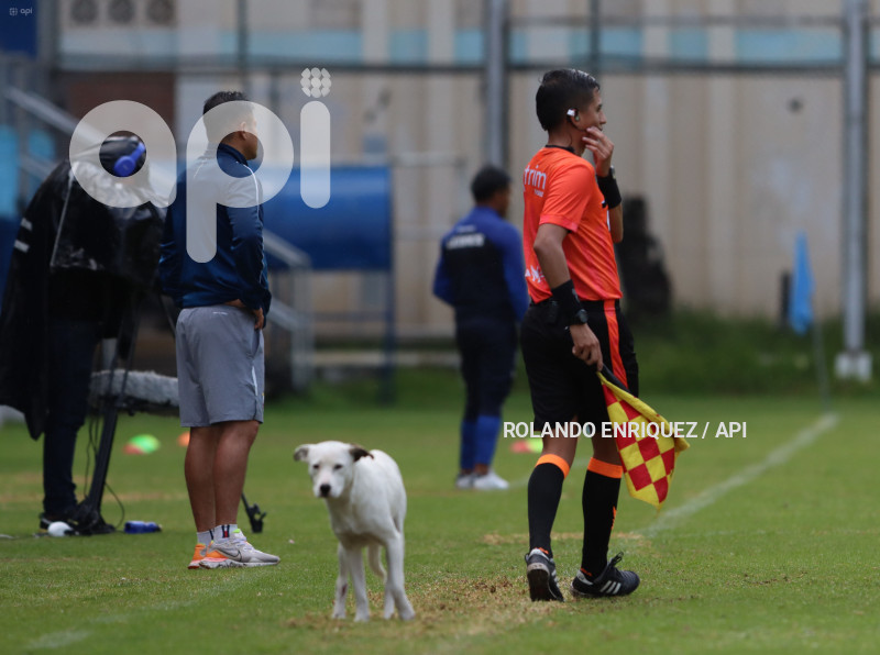 FBL-SUPERLIGA-FEMENINA-NACIONAL-LEONES-NORTE