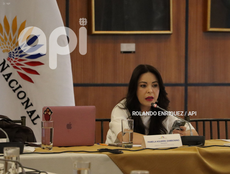WILMAN-TERAN-JUICIO-POLITICO