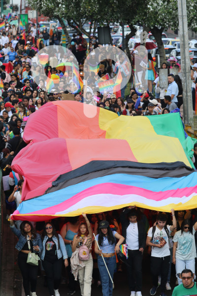 MARCHA-ORGULLO-INVERSO