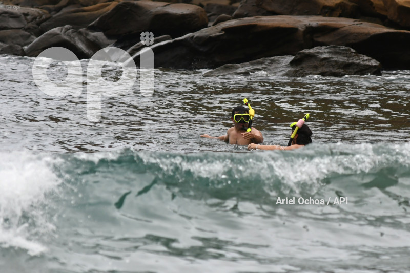 PTO LOPEZ-BALLENAS-FESTIVAL