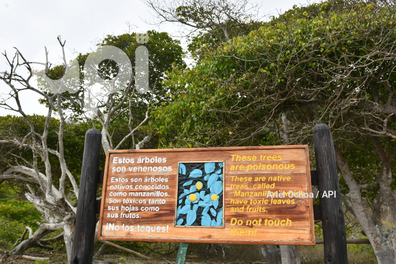 PTO LOPEZ-BALLENAS-FESTIVAL