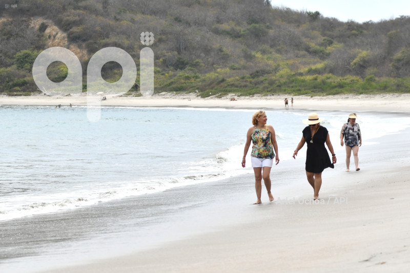 PTO LOPEZ-BALLENAS-FESTIVAL