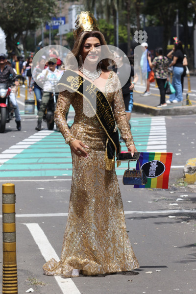 MARCHA-ORGULLO-INVERSO