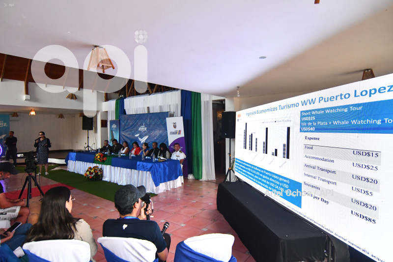 PTO LOPEZ-BALLENAS-FESTIVAL