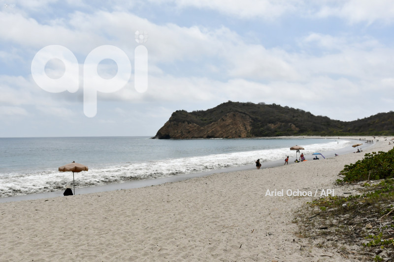 PTO LOPEZ-BALLENAS-FESTIVAL