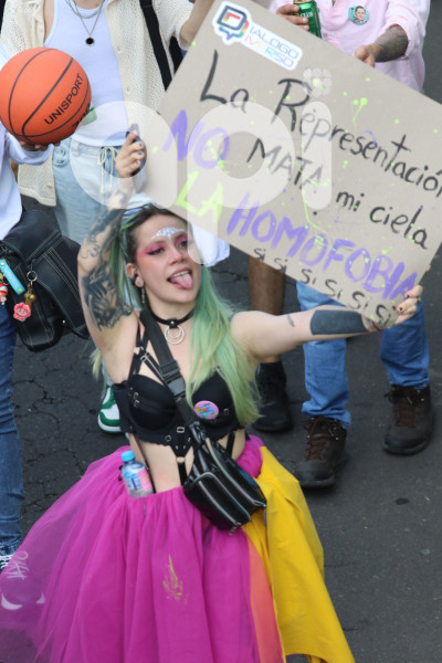 MARCHA-ORGULLO-INVERSO