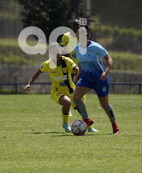 FBL SUPER LIGA FEMENINA MACARA LEONAS DEL NORTE