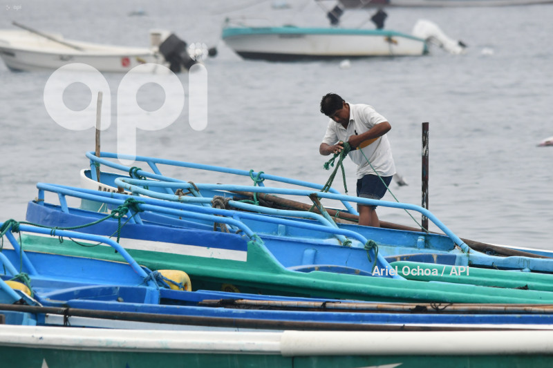 PTO LOPEZ-BALLENAS-OBSERVACION