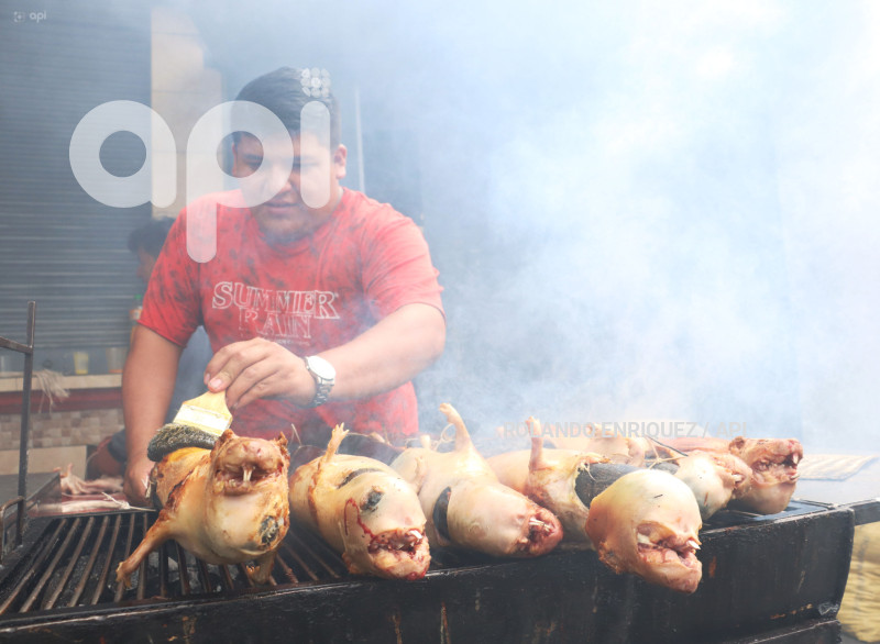 LEY-PROHIBICION-EXHIBICION-ANIMALES-PREPARDOS-FAENADOS