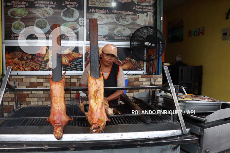 LEY-PROHIBICION-EXHIBICION-ANIMALES-PREPARDOS-FAENADOS