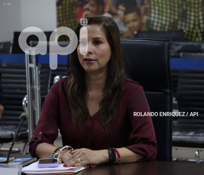 PLENO-CONSEJO-PARTICIPACION-CIUDADANA