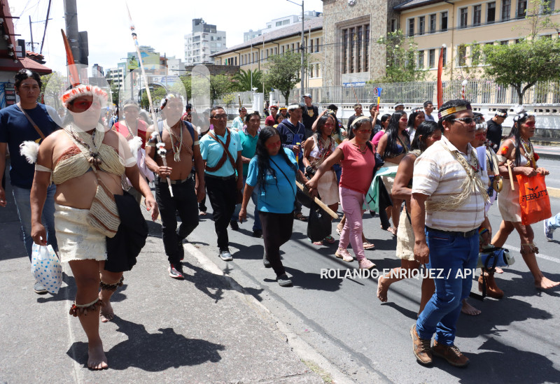 AMICUS-CURIAE-INDIGENAS-WAORANI
