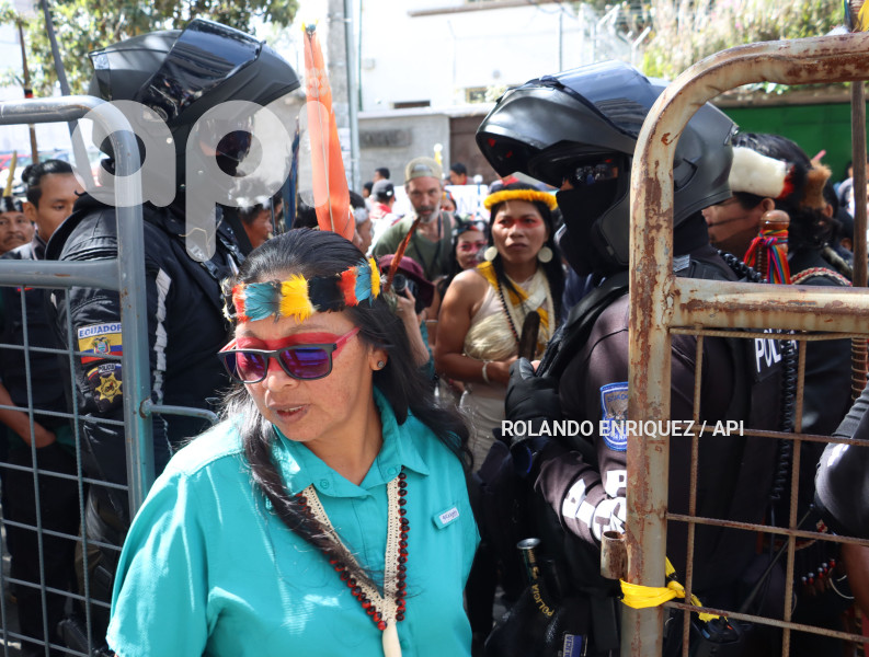 AMICUS-CURIAE-INDIGENAS-WAORANI