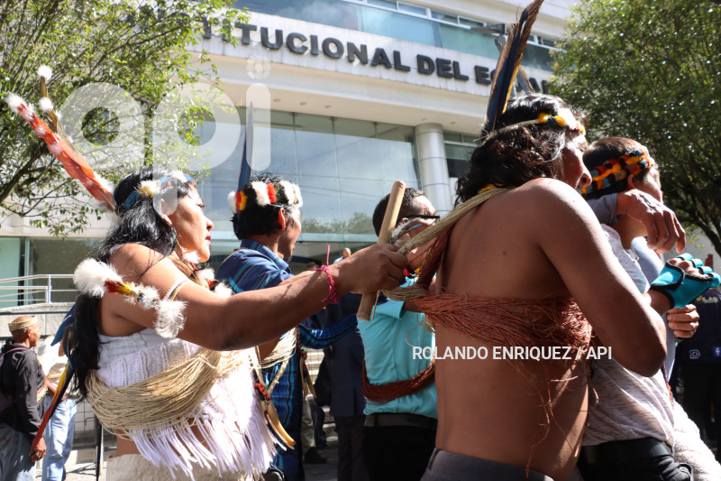 AMICUS-CURIAE-INDIGENAS-WAORANI