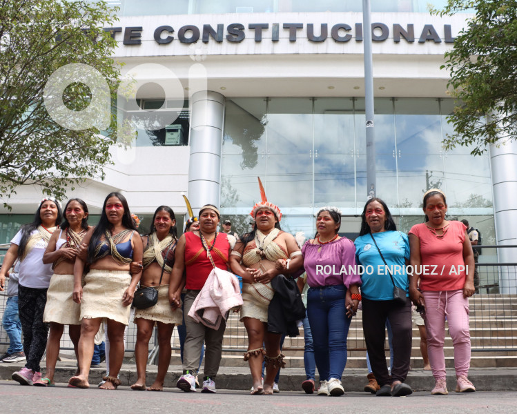 AMICUS-CURIAE-INDIGENAS-WAORANI