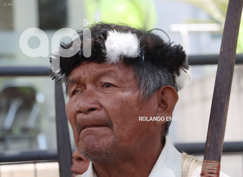AMICUS-CURIAE-INDIGENAS-WAORANI