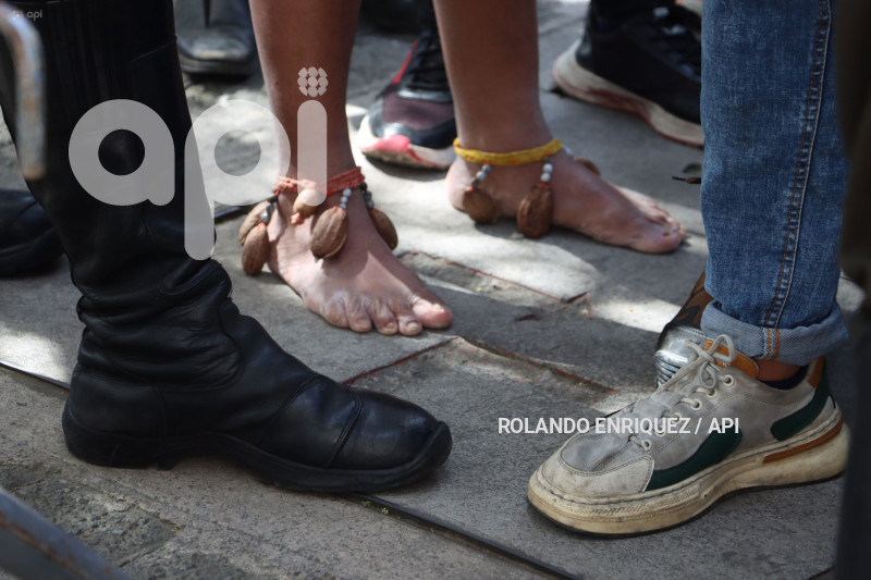 AMICUS-CURIAE-INDIGENAS-WAORANI