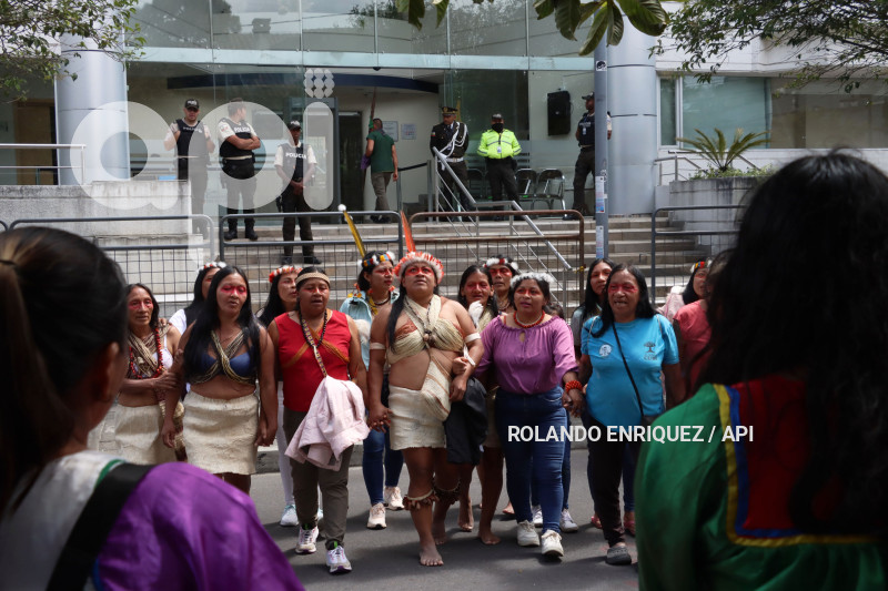 AMICUS-CURIAE-INDIGENAS-WAORANI