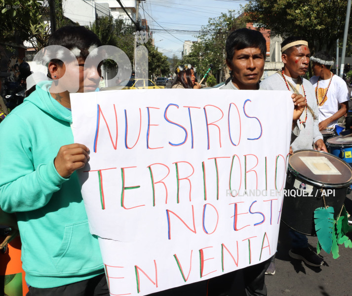 AMICUS-CURIAE-INDIGENAS-WAORANI