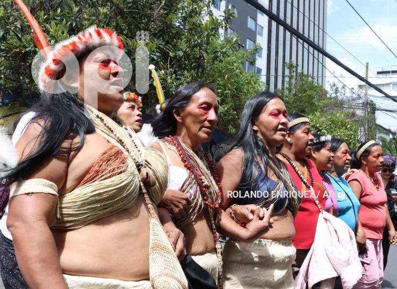 AMICUS-CURIAE-INDIGENAS-WAORANI