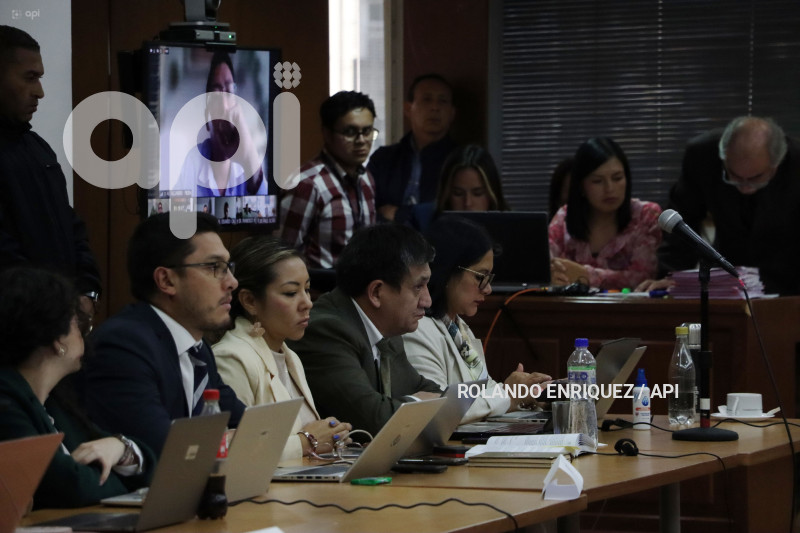 CASO-INDEPENDENCIA-JUDICIAL-WILMAN-TERAN