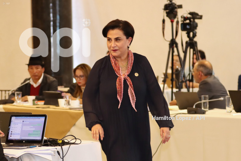 UIO-GABRIELA-SOMMERFELD-JUICIO-POLÍTICO