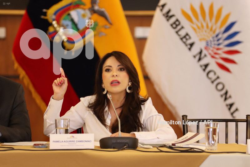 UIO-GABRIELA-SOMMERFELD-JUICIO-POLÍTICO