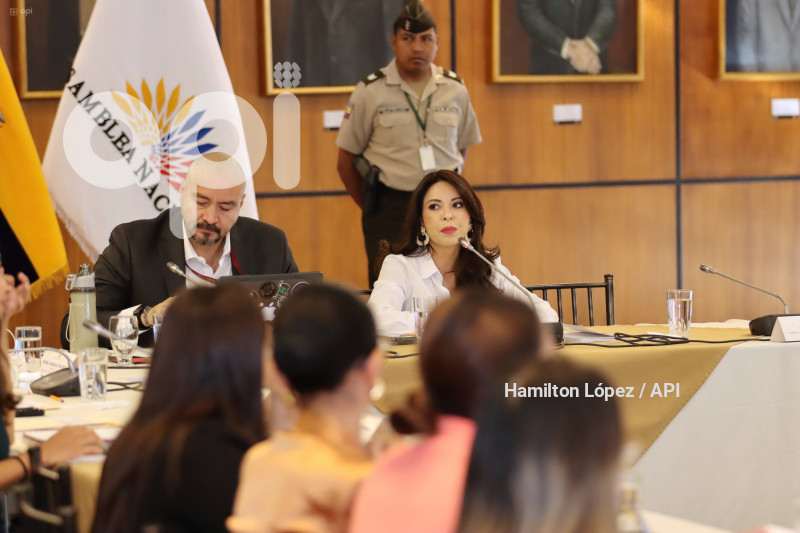UIO-GABRIELA-SOMMERFELD-JUICIO-POLÍTICO