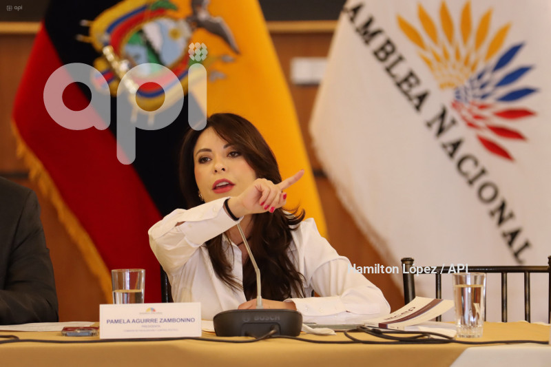 UIO-GABRIELA-SOMMERFELD-JUICIO-POLÍTICO