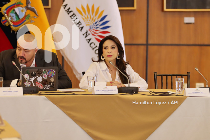 UIO-GABRIELA-SOMMERFELD-JUICIO-POLÍTICO