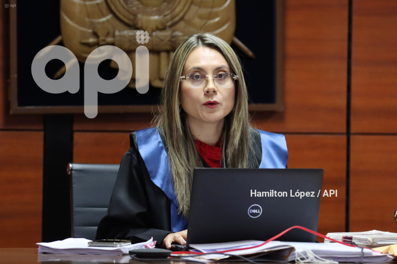 UIO-HABEAS-CORPUS-WILMAN-TERÁN