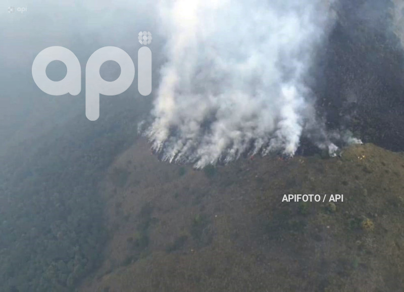 CUENCA-INCENDIO FORESTAL