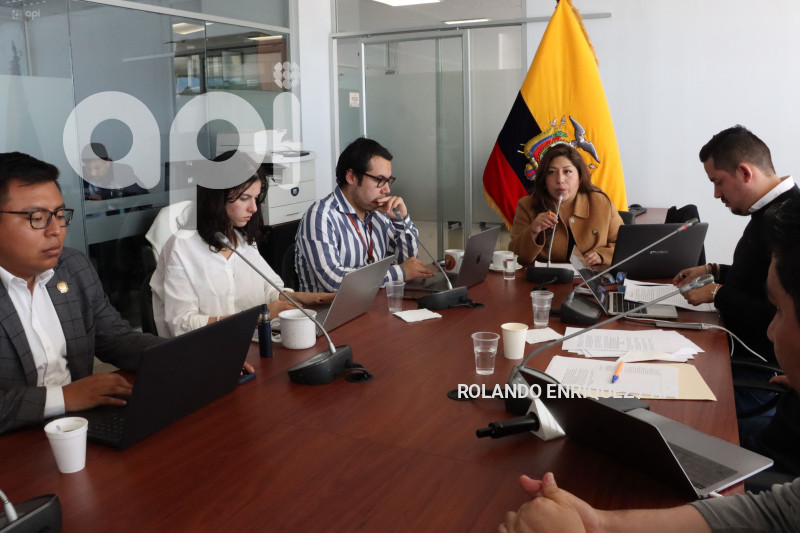 ASAMBLEA-LEY-ARMAS