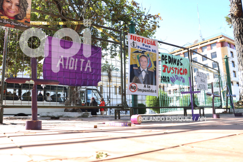 PLANTON-MIN-DEFENSA-PAMELA-ATI