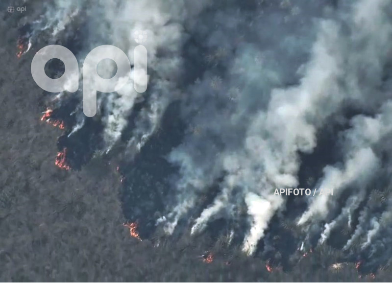 CUENCA-INCENDIO FORESTAL