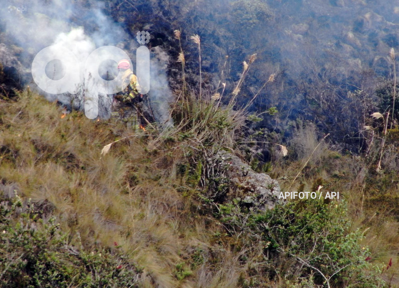 CUENCA-INCENDIO FORESTAL
