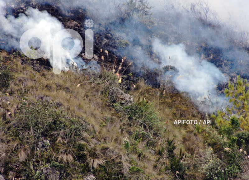 CUENCA-INCENDIO FORESTAL