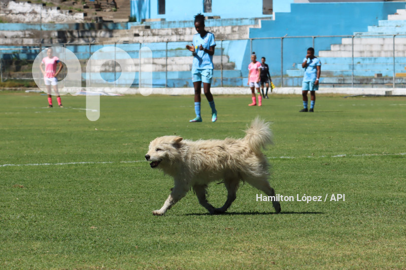 FBL-SUPERLIGA-FEMENINA-ECUABET-CATÓLICA-ÑAÑAS