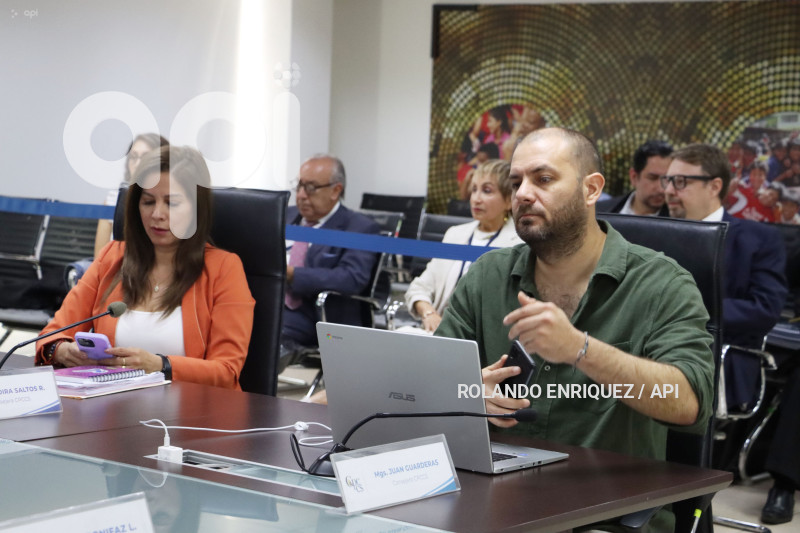 PLENO-CONSEJO-PARTICIPACION-CIUDADANA