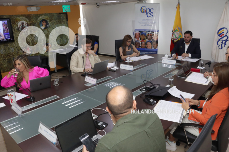 PLENO-CONSEJO-PARTICIPACION-CIUDADANA