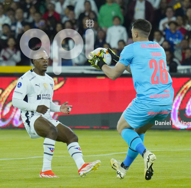 FBL SUDAMERICANA LIGA LANUS