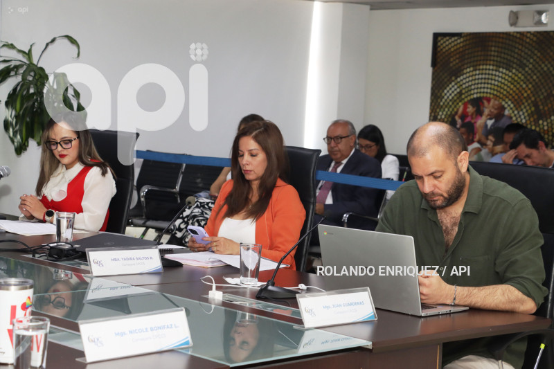 PLENO-CONSEJO-PARTICIPACION-CIUDADANA