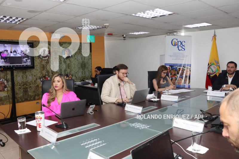 PLENO-CONSEJO-PARTICIPACION-CIUDADANA