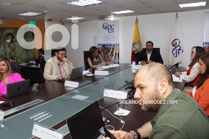 PLENO-CONSEJO-PARTICIPACION-CIUDADANA