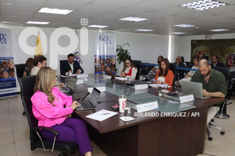PLENO-CONSEJO-PARTICIPACION-CIUDADANA