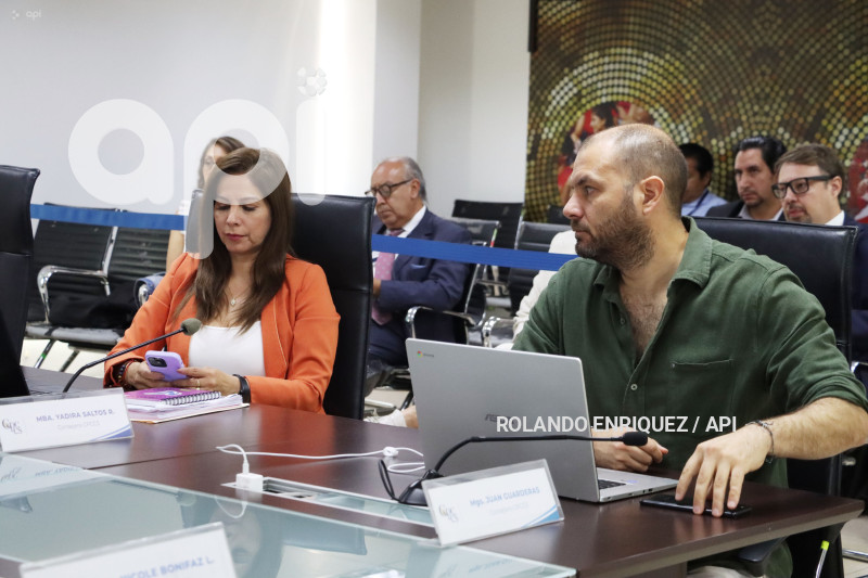 PLENO-CONSEJO-PARTICIPACION-CIUDADANA